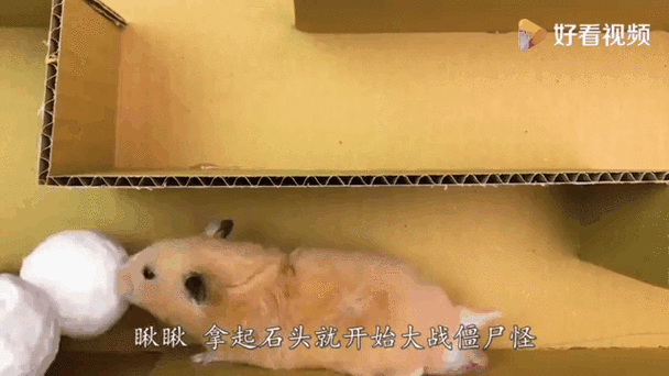 逃离死亡岛：僵尸围城，如何才能成功逃出生天？