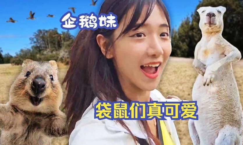 选择袋鼠直播平台：海量体育赛事直播，免费观看高清直播！