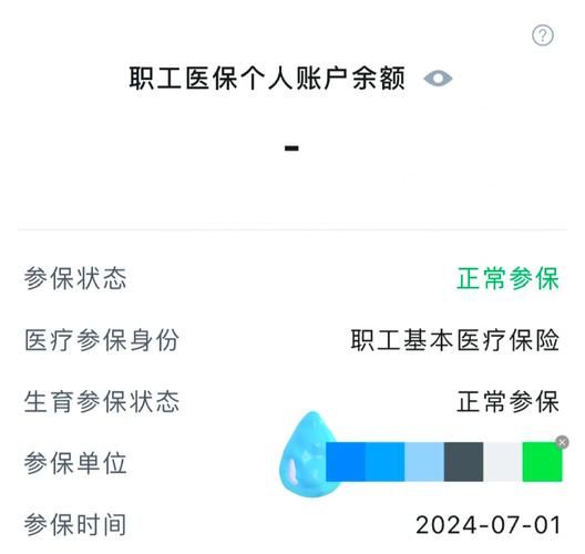 通过国家医保服务平台官网，便捷查询医保个人账户余额