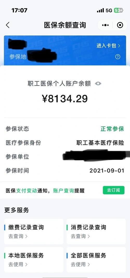 通过国家医保服务平台官网，便捷查询医保个人账户余额