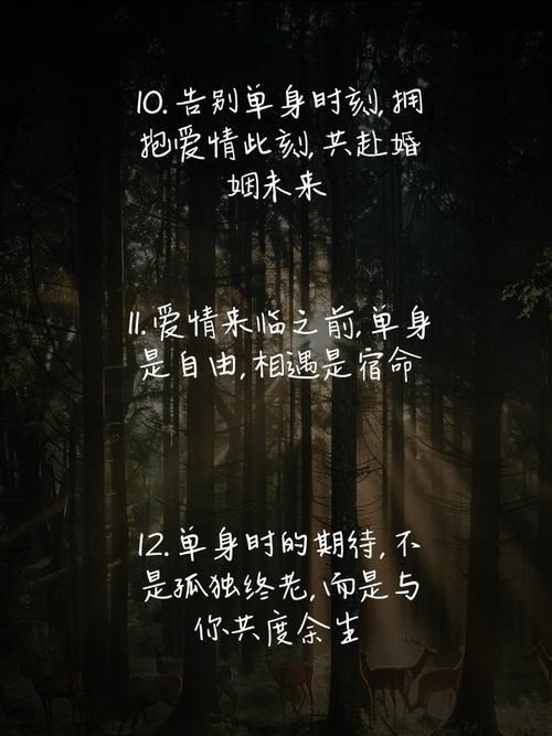 速爱app：告别单身，遇见你的真爱