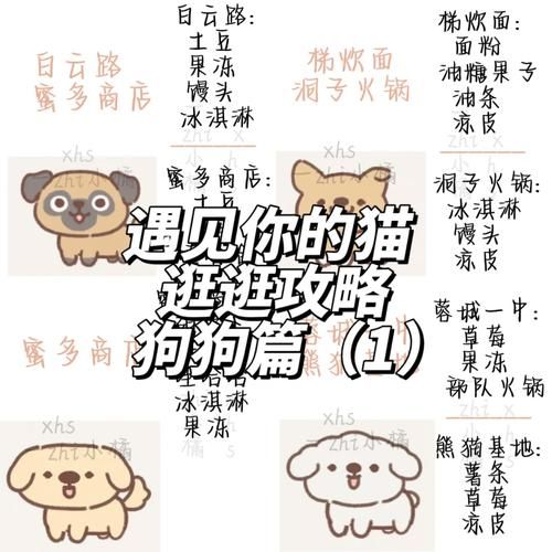 遇见你的猫攻略：新手必看，快速上手玩转游戏