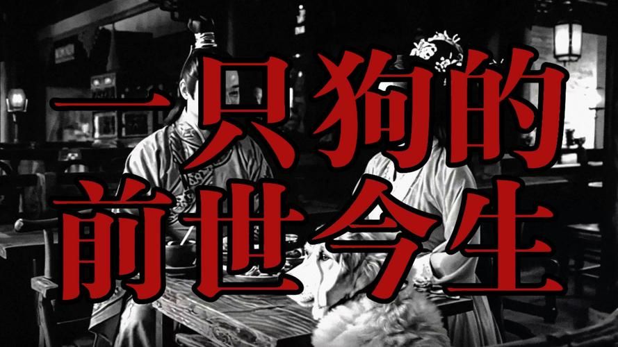 道士十五狗：一个传奇游戏里的经典笑谈