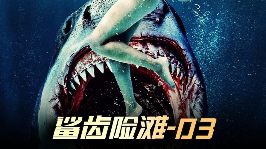 那些被鲨鱼恶霸攻击的瞬间：惊险刺激的真实故事