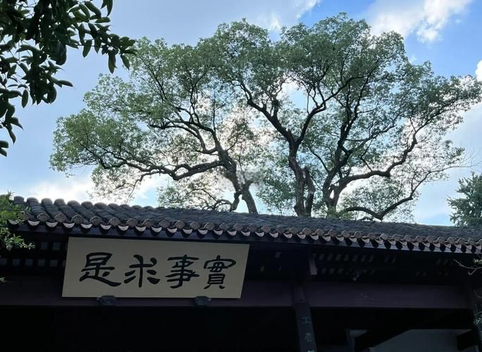 那烂陀大学：佛教圣地，千年学府的今昔变迁
