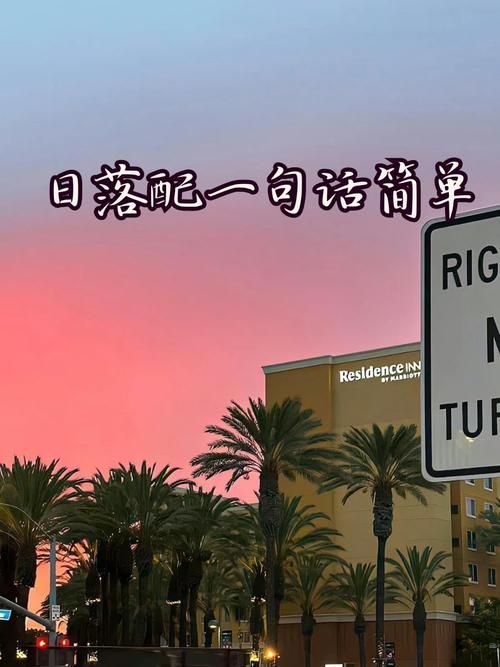 邻居家的TOYOTA，日落余晖，她开着它去追逐梦想