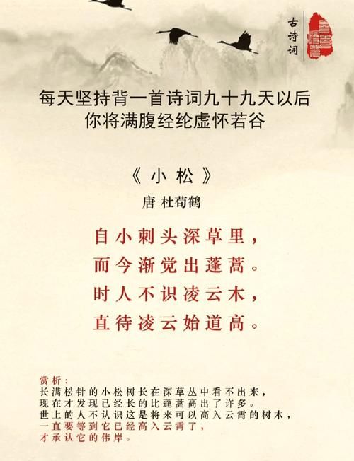 郁郁涧底松的意境与象征：深入分析诗歌的艺术价值