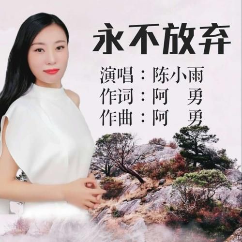 重温经典歌曲不放弃歌词，唤醒你心中的梦想