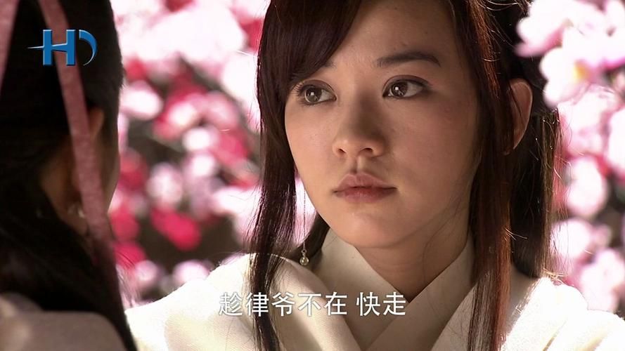 重温经典蝴蝶流星剑：揭秘快活林的惊天秘密