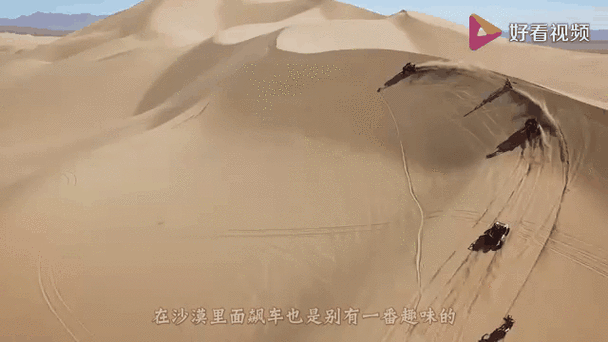 野猪骑士：中年大叔的疯狂飙车之旅