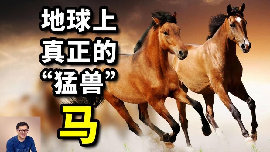 野生马匹自然繁殖的奥秘：成功率有多高？