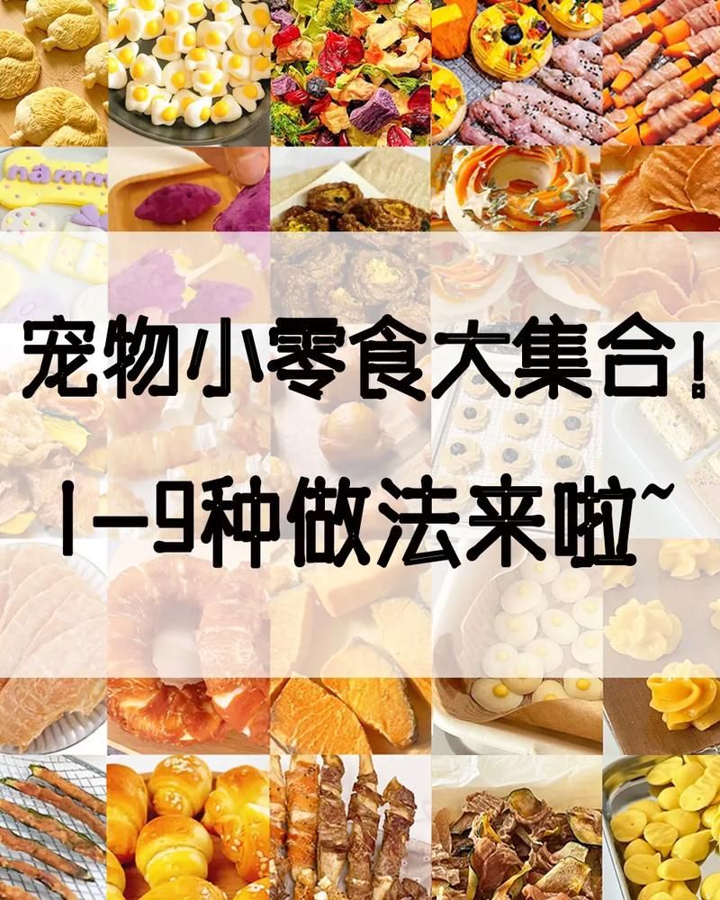 金布勒宠物食品配方详解，轻松制作宠物美食！