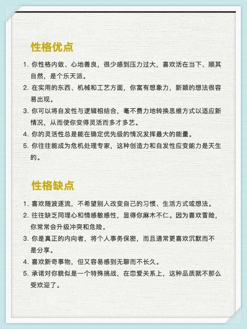 鉴赏家人格详解：ISTP性格特点及分析