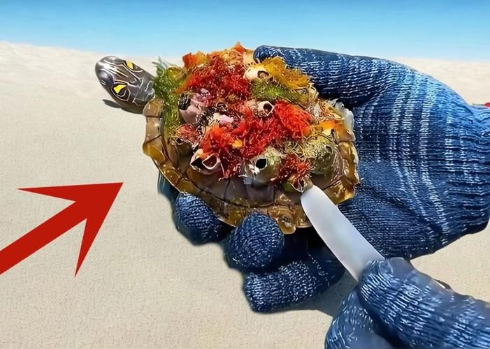 钓海龟技巧全分享，让你轻松收获海龟