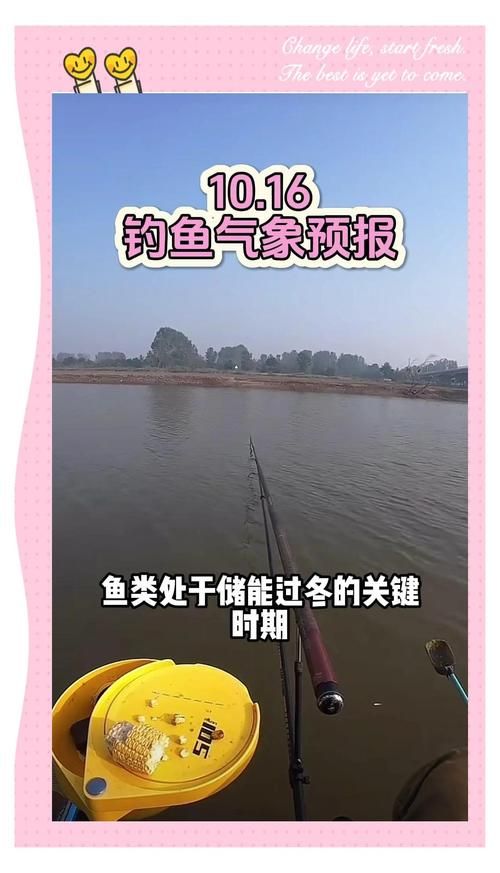 钓鱼/出行看天气气压？这些平台可以查看