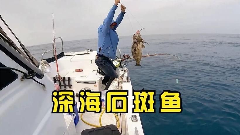 钓鱼大锋子是什么鱼？钓法技巧全攻略