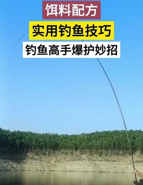 钓鱼烹饪双修攻略：高效升级，节省时间和金钱