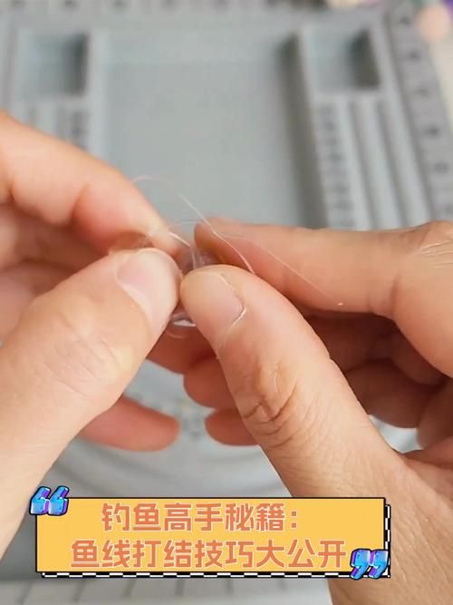 钓鱼王论坛：高手云集，钓鱼技巧全分享！