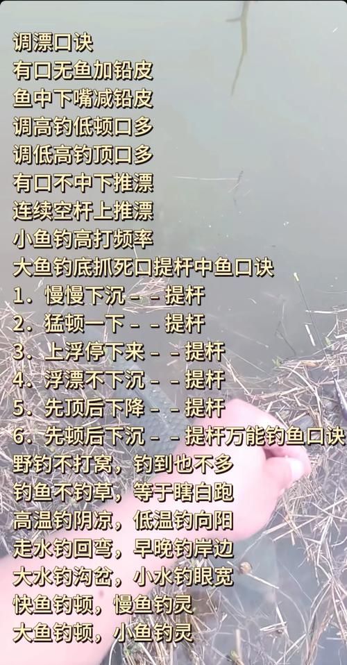 钓鱼王论坛：高手云集，钓鱼技巧全分享！