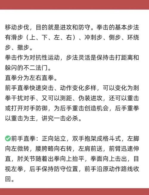 钻石星辰拳实战解析：速度与力量的完美结合