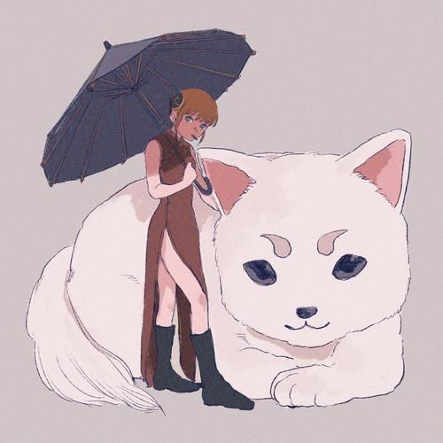 银魂同人：温柔与坚强并存的少女