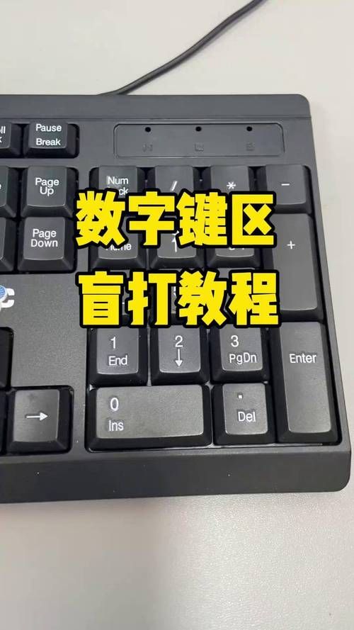 键盘上怎么打中间的点？新手小白也能学会