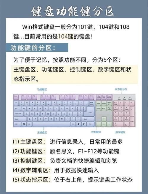 键盘练习指法教程：从入门到精通，快速提升效率