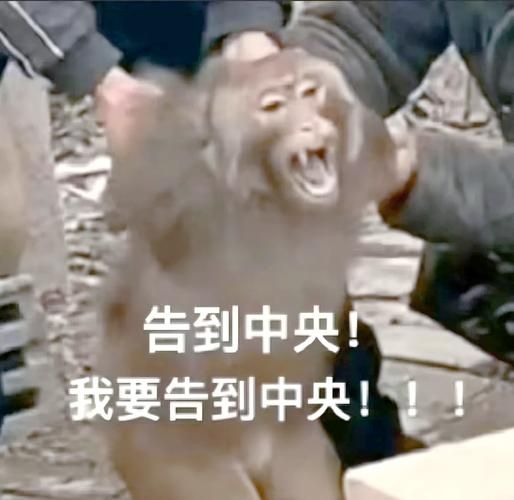 门客是什么意思？详解古代门客的真实身份