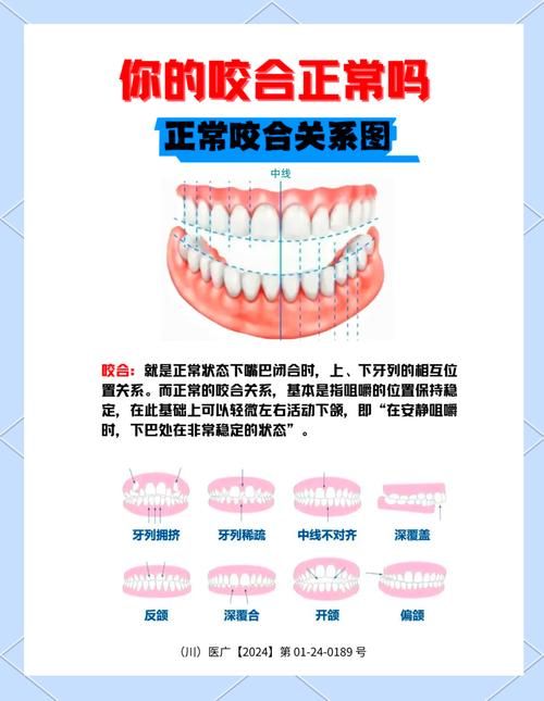 门牙的重要性：咬东西、保护口腔，甚至影响你的美貌！