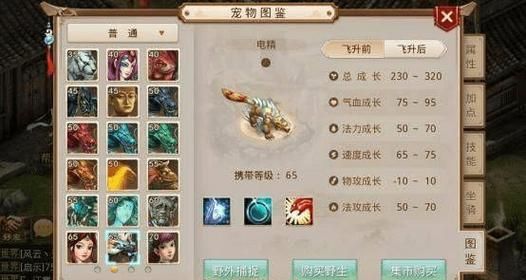 问道宠物幻化系统玩法：简单易懂的详细教程