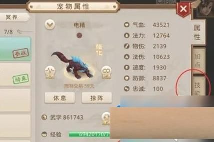 问道宠物幻化系统玩法：简单易懂的详细教程