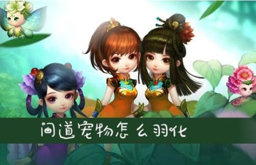 问道宠物羽化攻略：快速提升宠物实力
