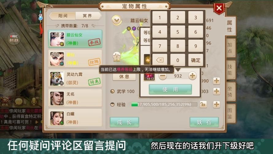 问道宠物羽化攻略：快速提升宠物实力