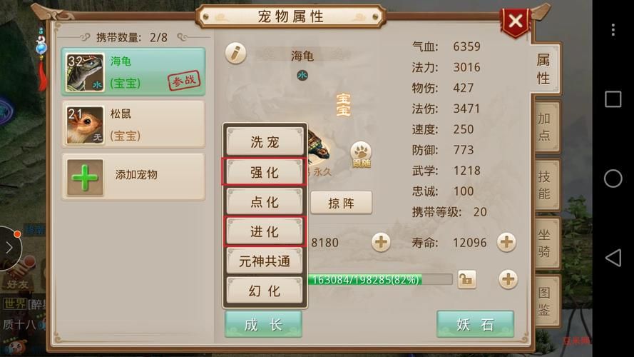 问道手游：宠物进化方法及宠物属性提升指南