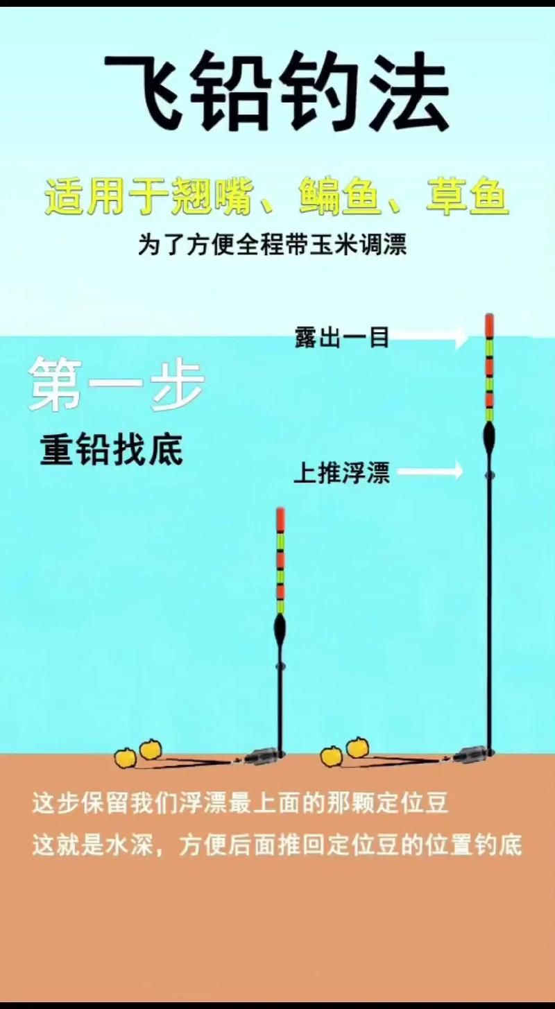 阳鳞鲑鱼好钓吗？教你快速找到最佳钓鱼位置！