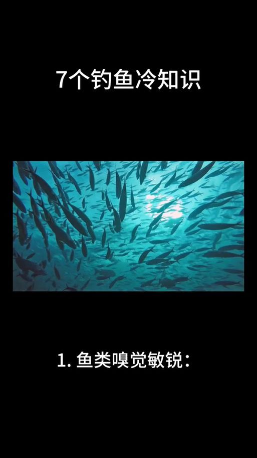 阳鳞鲑鱼好钓吗？教你快速找到最佳钓鱼位置！