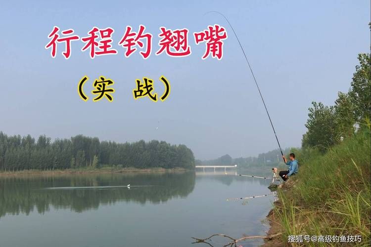 阳鳞鲑鱼好钓吗？教你快速找到最佳钓鱼位置！
