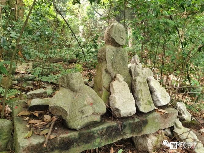 阴森的森林深处究竟藏着什么？胆小勿入！
