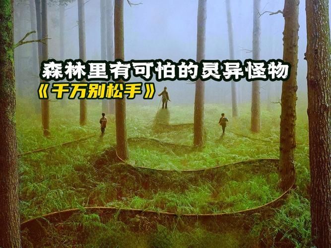 阴森的森林深处究竟藏着什么？胆小勿入！