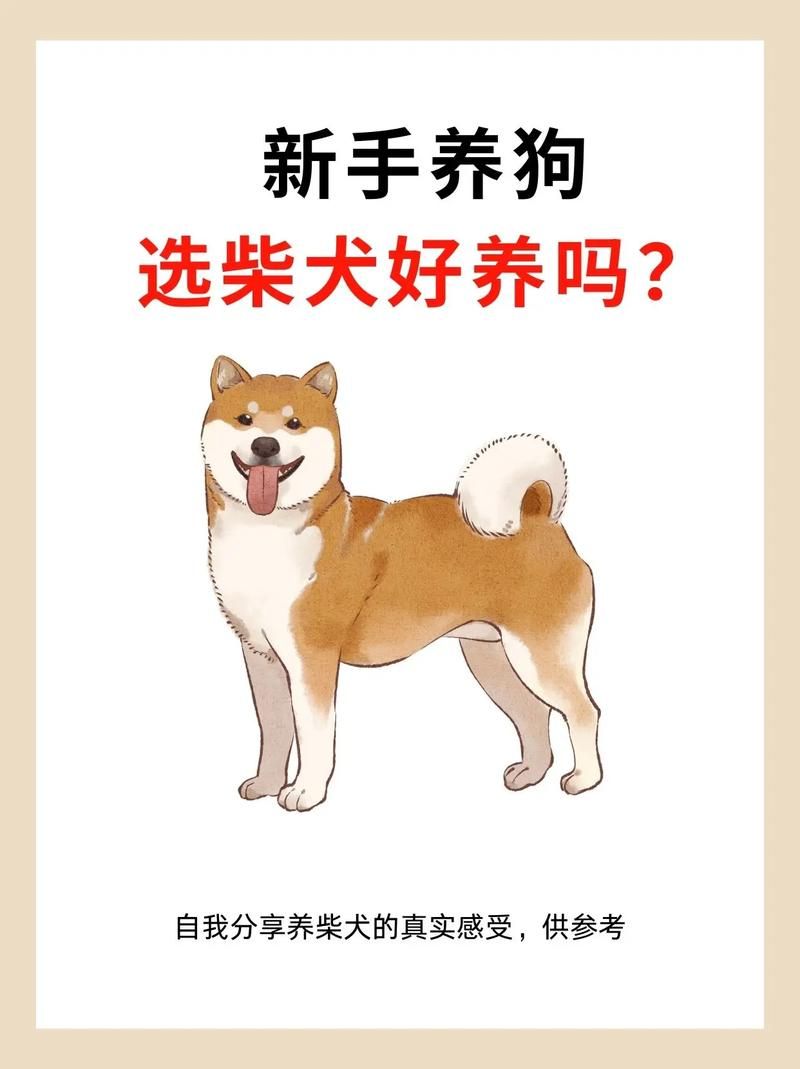 阴阳师柴犬守护位置一览：快速获得柴犬守护的方法！