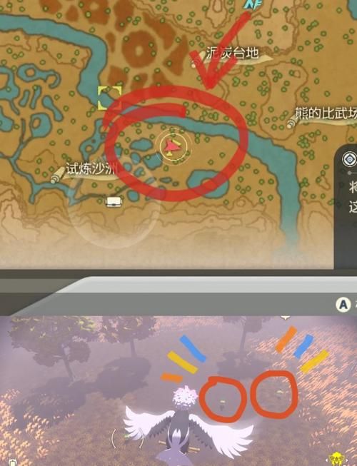 阿尔宙斯海之传说任务流程图解：小白也能轻松上手