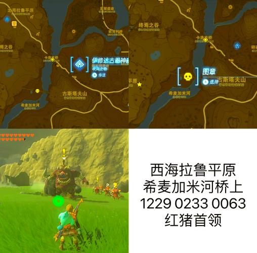 阿尔萨斯之泪在哪采？新手玩家必看采集指南