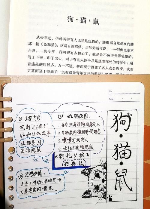阿猫阿狗1的含义和用法，简单易懂的解释