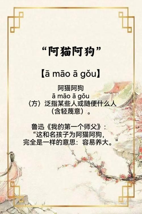 阿猫阿狗1的含义和用法，简单易懂的解释
