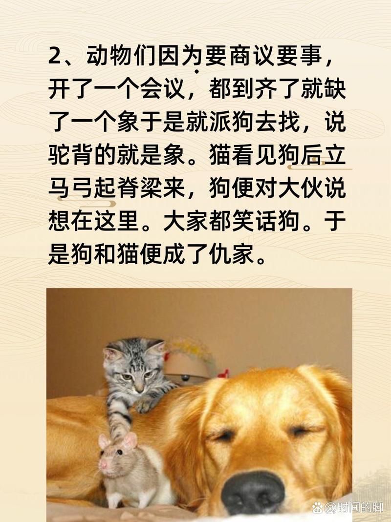 阿猫阿狗1的含义和用法，简单易懂的解释