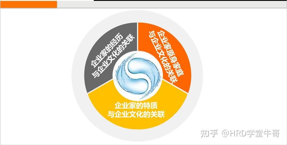 阿里破冰文化：企业文化建设的警示与反思