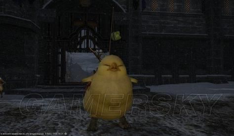 陆行鸟升级难？试试这些技巧快速提升你的坐骑