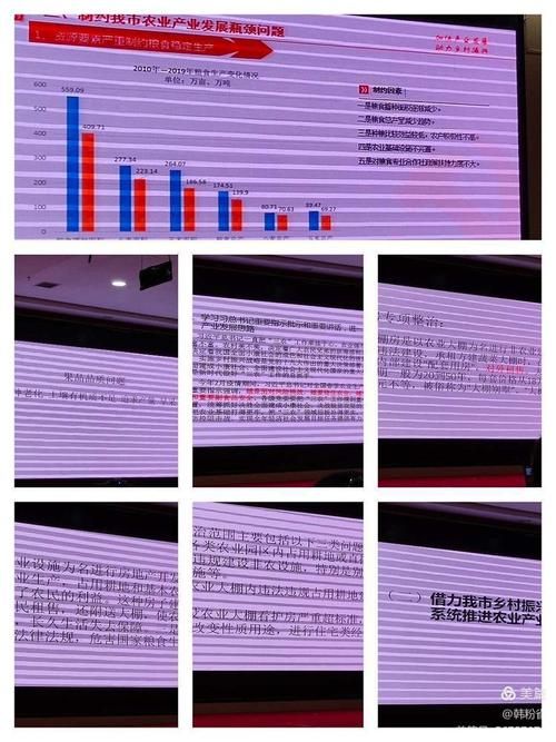 陕西网络干部：高效学习，助力乡村振兴