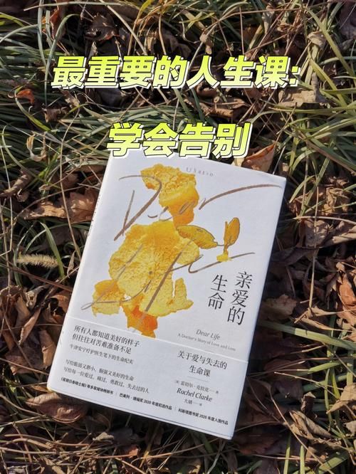 随风而去吧：学会告别，迎接新的开始