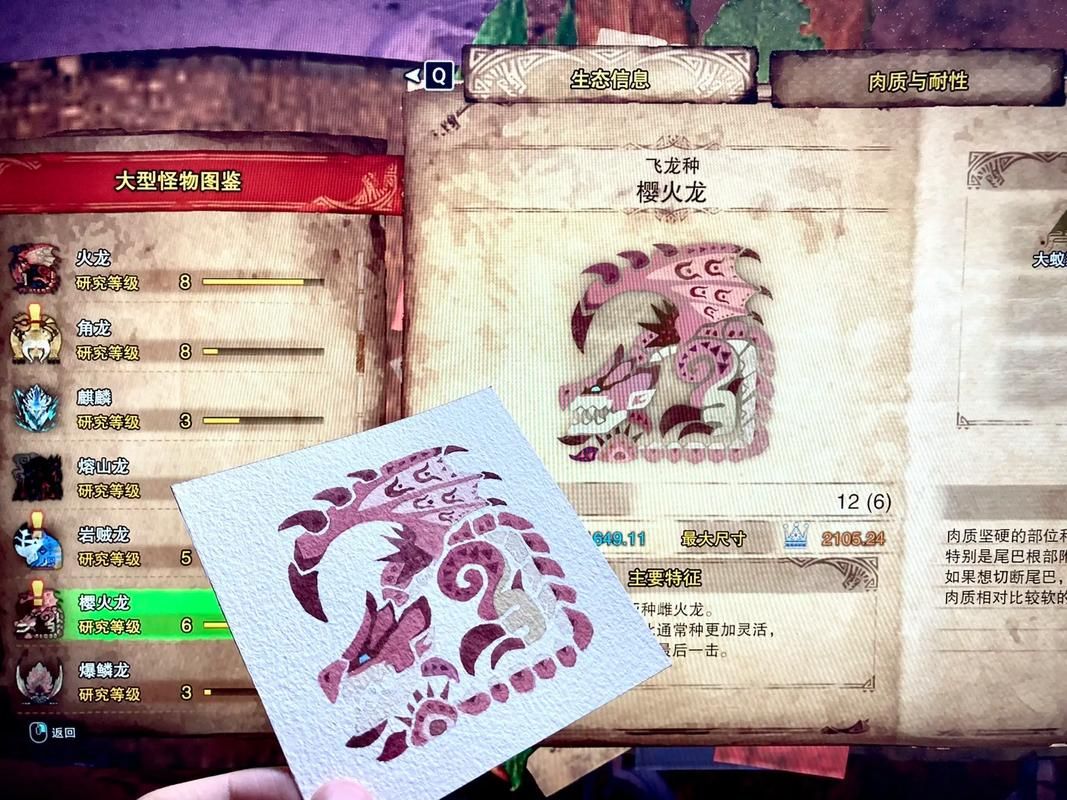 雌火龙弱点属性是什么？高效狩猎指南